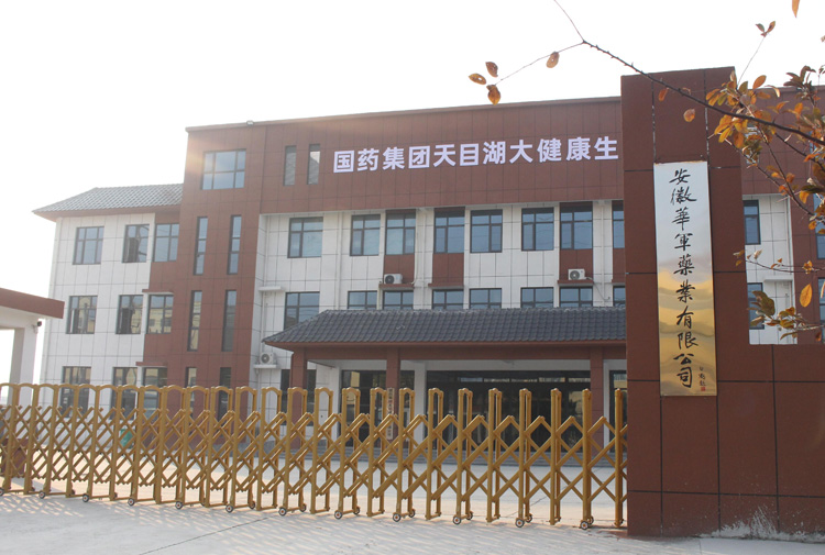 安徽华军药业有限公司